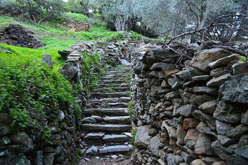 Andros Maisonettes Áyios Pétros Buitenkant foto