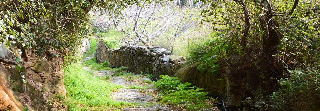 Andros Maisonettes Áyios Pétros Buitenkant foto